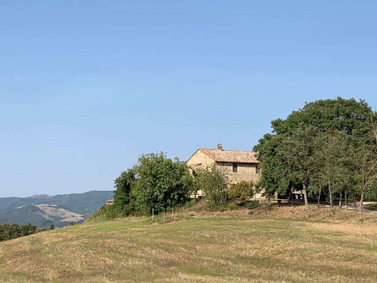 Casale Al Lago Con Piscina E Sauna Corbara  Exterior photo